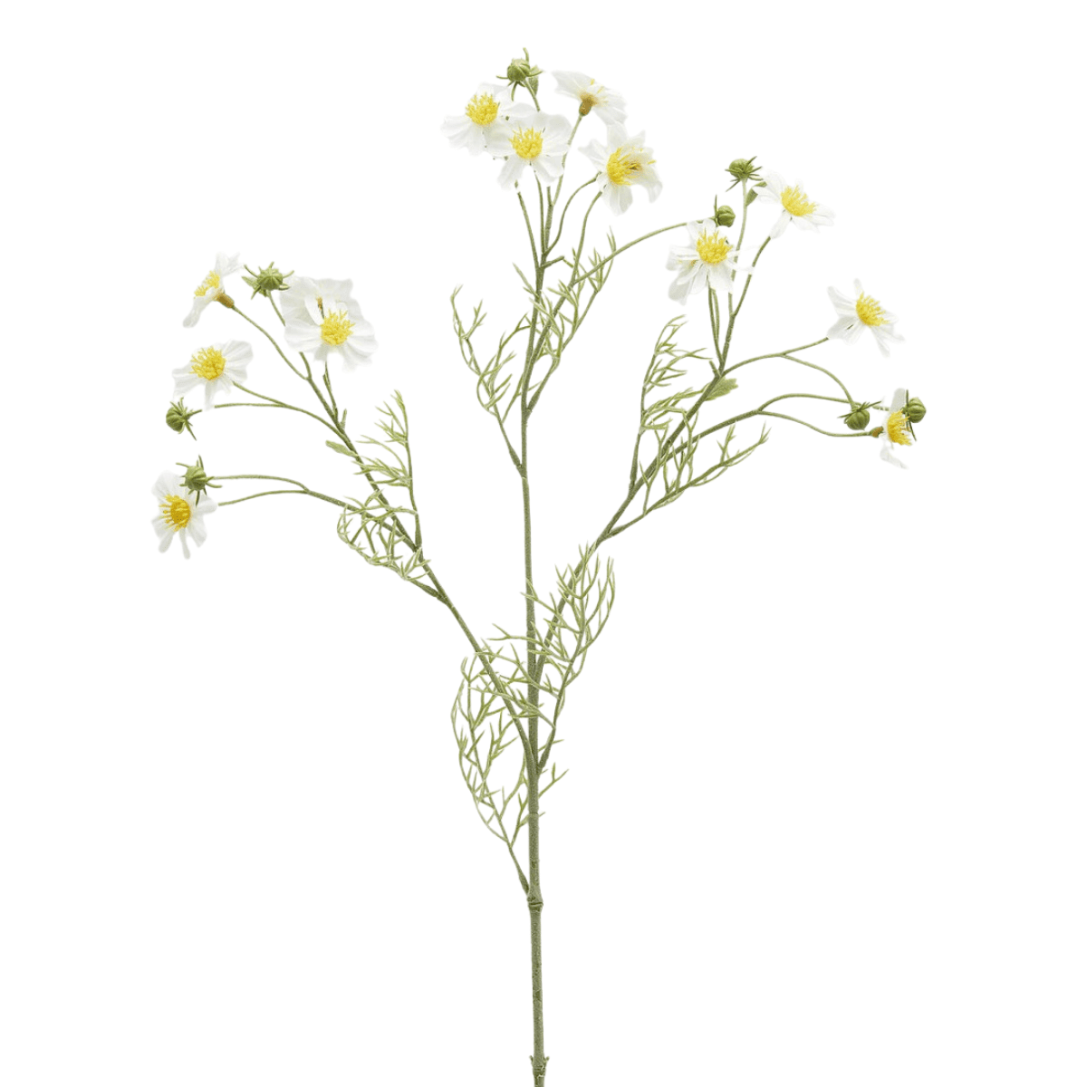 Artificial camomile stem