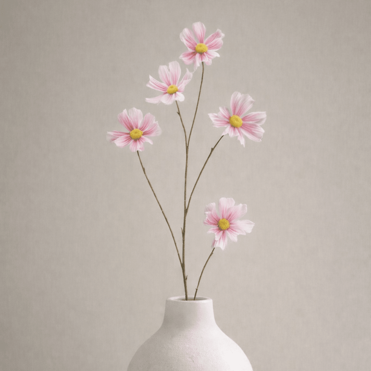 Artificial cosmos branch close-up