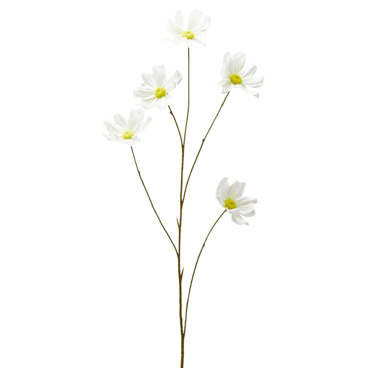 White artificial cosmos branch