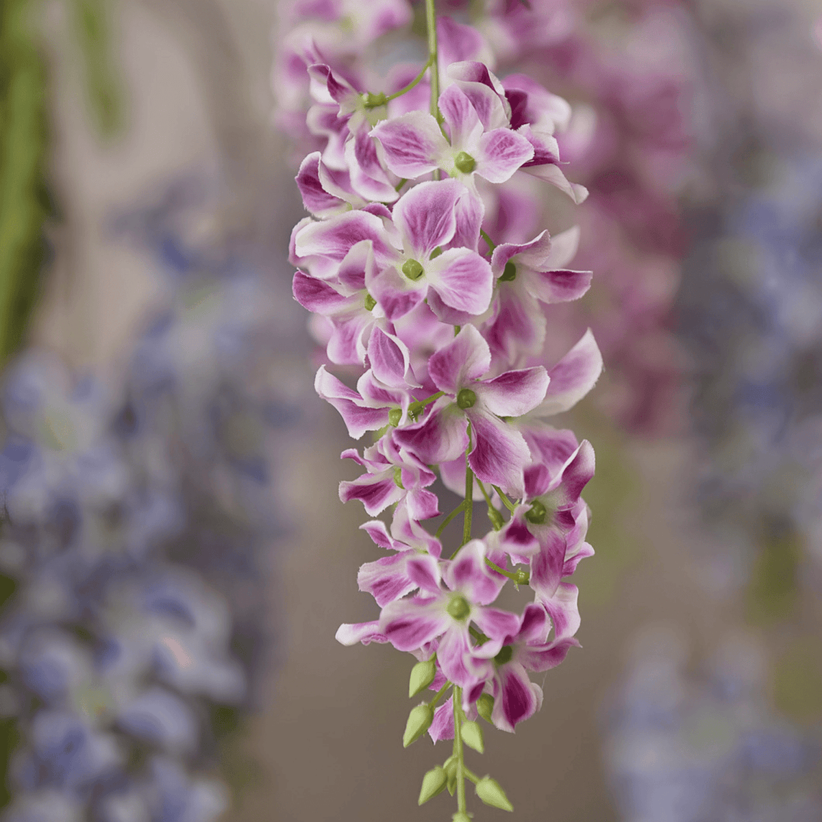 Artificial Dendrobium, artificial flower by Daily Flowers