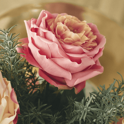 Artificial English Rose, artificial flower by Daily Flowers