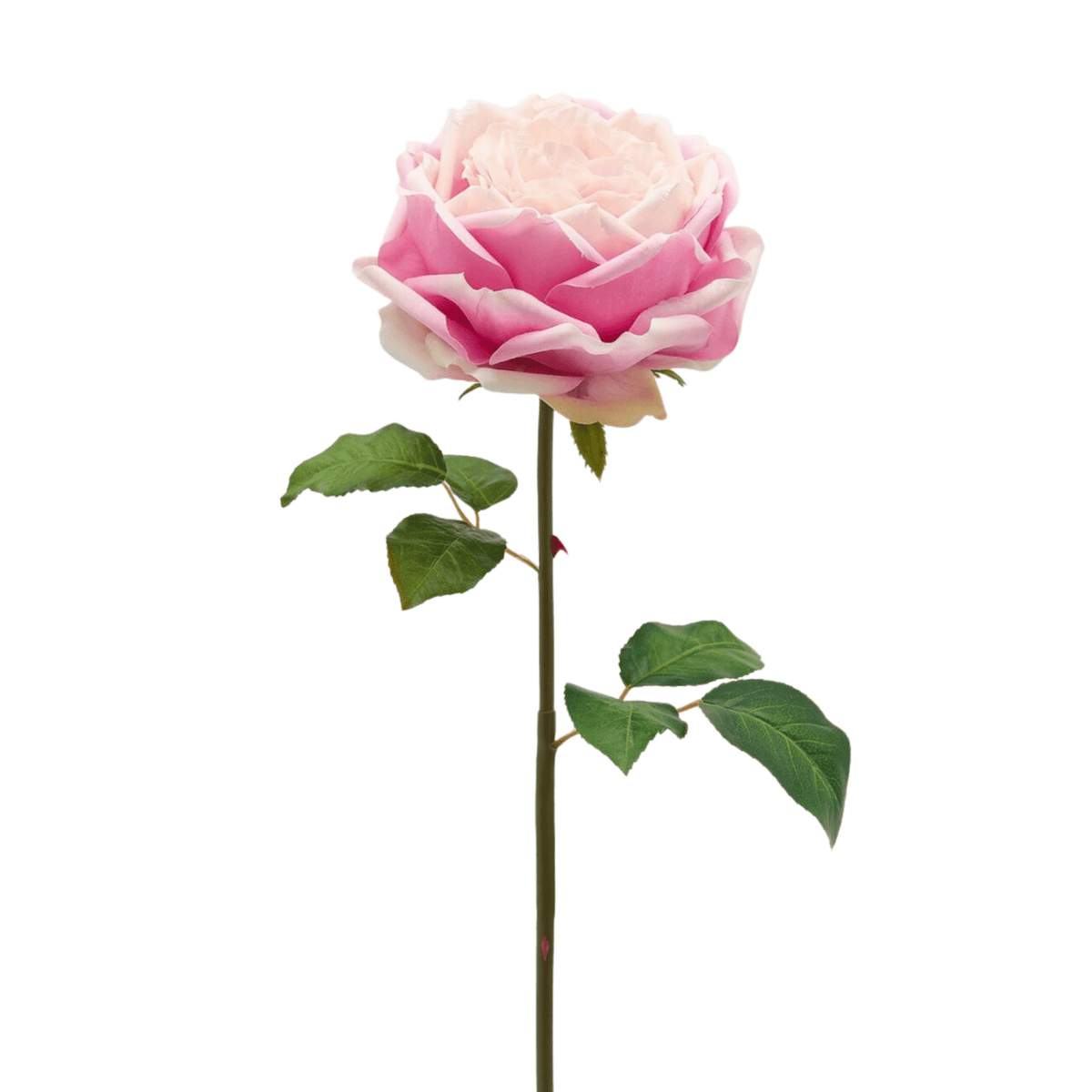 Artificial English Rose, artificial flower by Daily Flowers