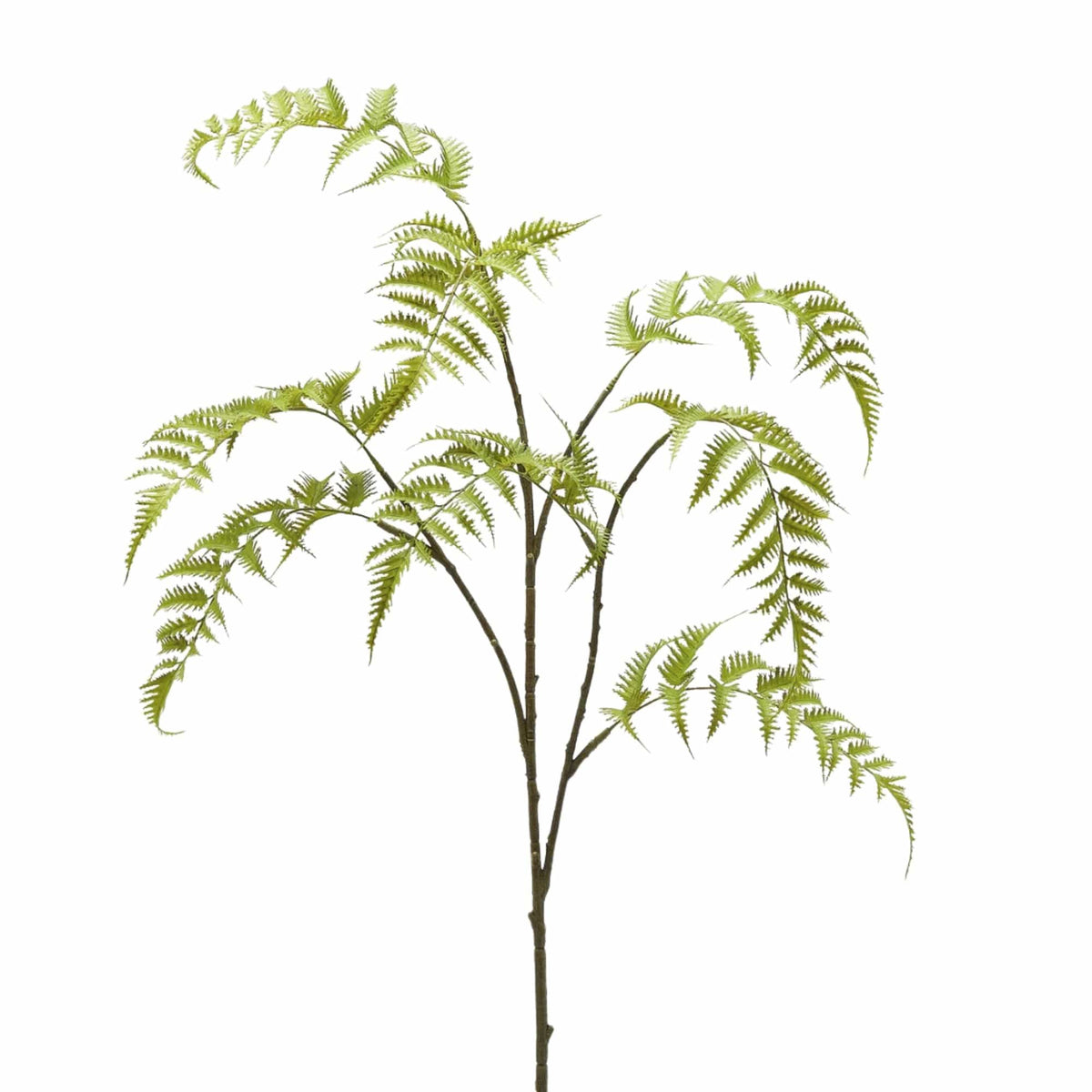 Tall artificial fern branch with arching fresh green fronds, 125 cm, by Daily Flowers