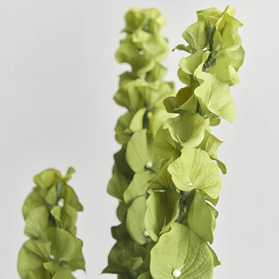 Close-up of the lime green bell-shaped calyxes of an artificial Molucella branch