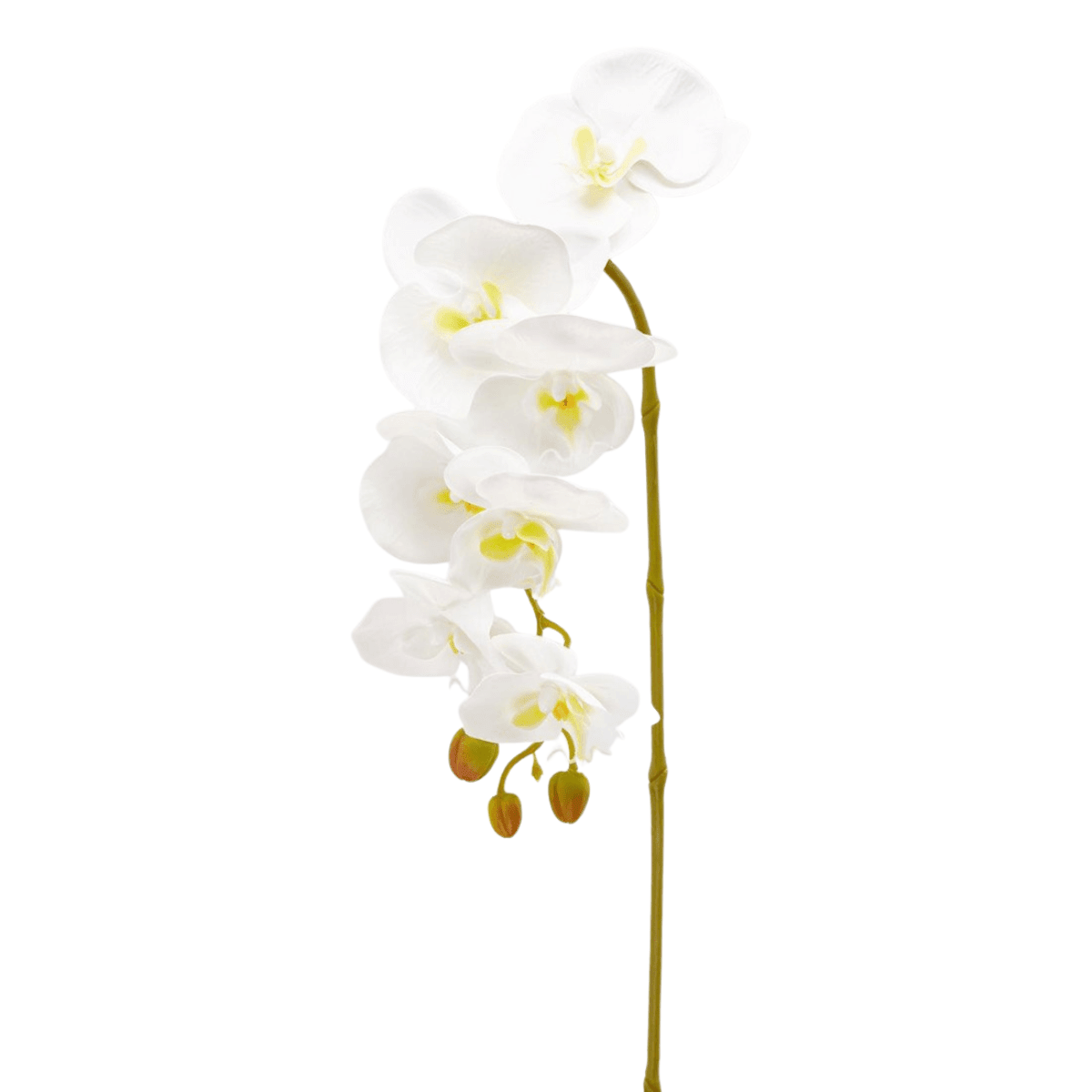 Artificial Phalaenopsis orchid stem product shot