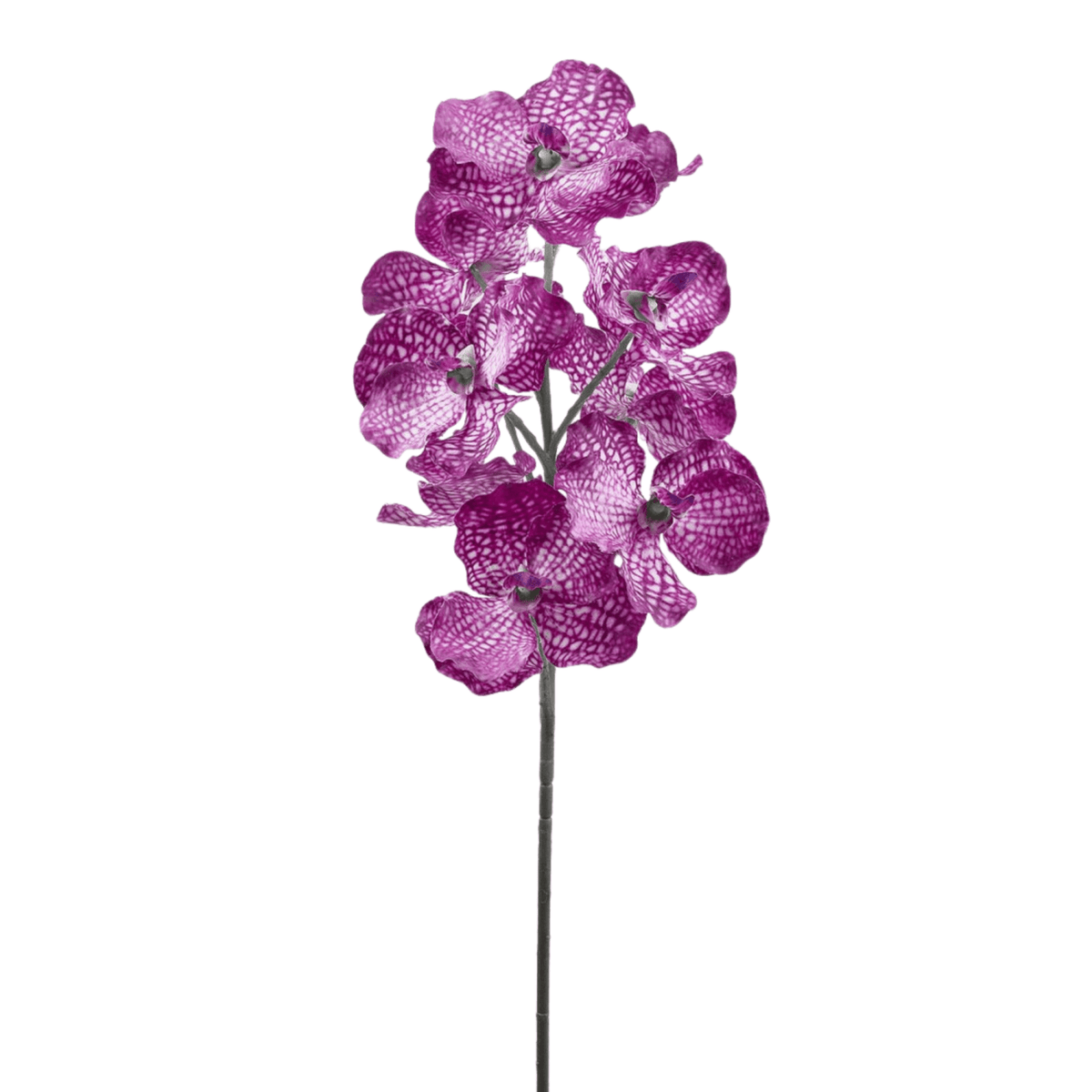 Artificial Orchid, Purple Vanda, artificial flower by Daily Flowers
