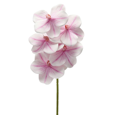 White artificial Vanda orchid branch with pink veined petals, 65 cm, by Daily Flowers