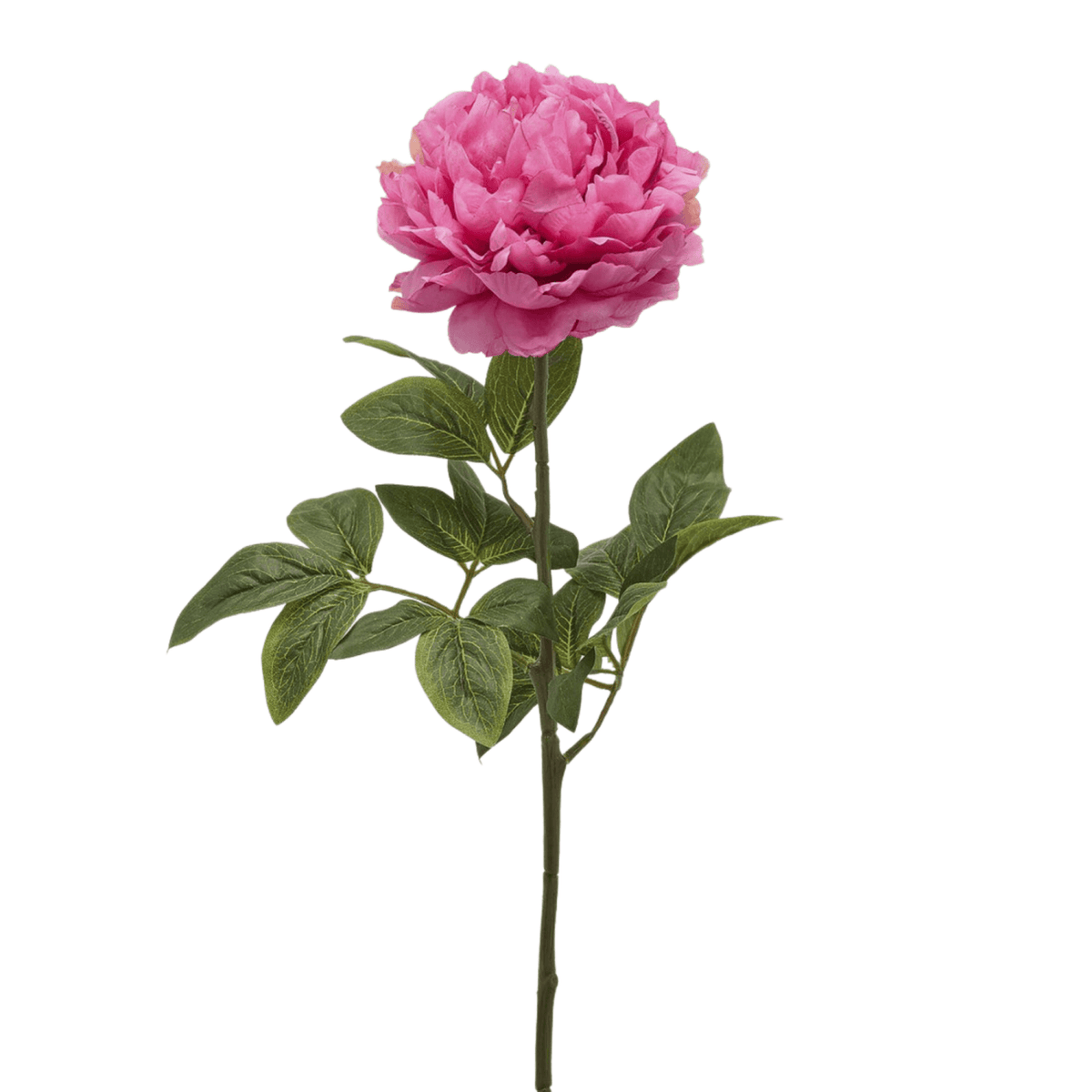 Artificial Peony Rose, artificial flower by Daily Flowers