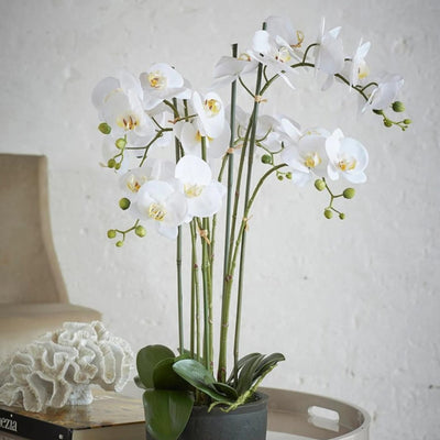 White artificial Phalaenopsis orchid arrangement styled on a side table in a living room