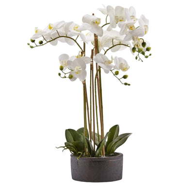 White artificial Phalaenopsis orchid with six stems in a dark stone-look pot, 72 cm, by Daily Flowers