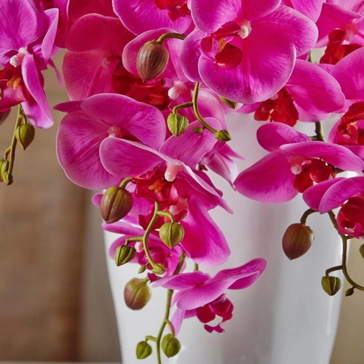 Close-up of fuchsia artificial Phalaenopsis orchid blooms and buds in a white vase