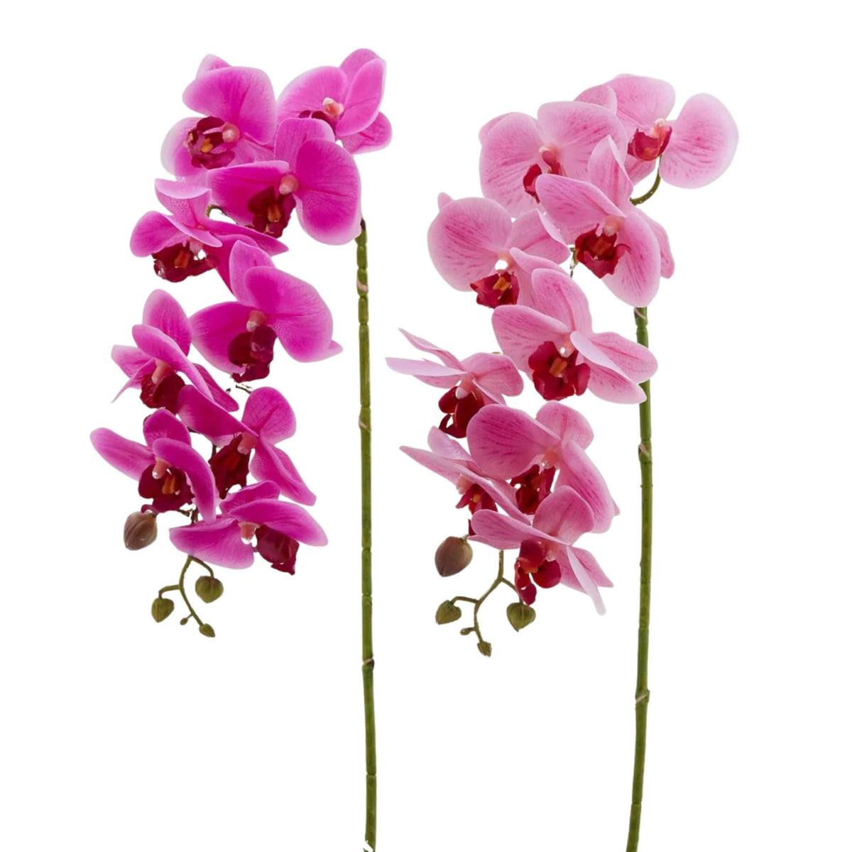 Artificial Phalaenopsis orchid branches in fuchsia and pink, 76 cm, by Daily Flowers