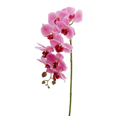 Pink veined artificial Phalaenopsis orchid branch with nine real-touch blooms