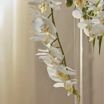 Close-up of cascading white artificial Phalaenopsis orchid blooms in a glass vase