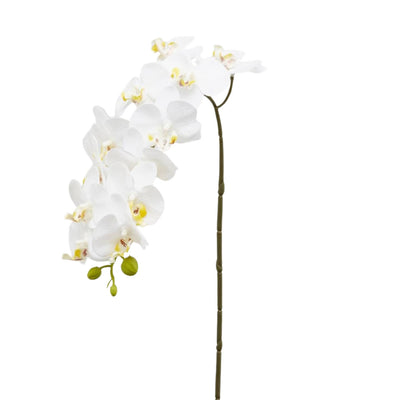 White artificial Phalaenopsis orchid branch with twelve real-touch blooms, 58 cm, by Daily Flowers