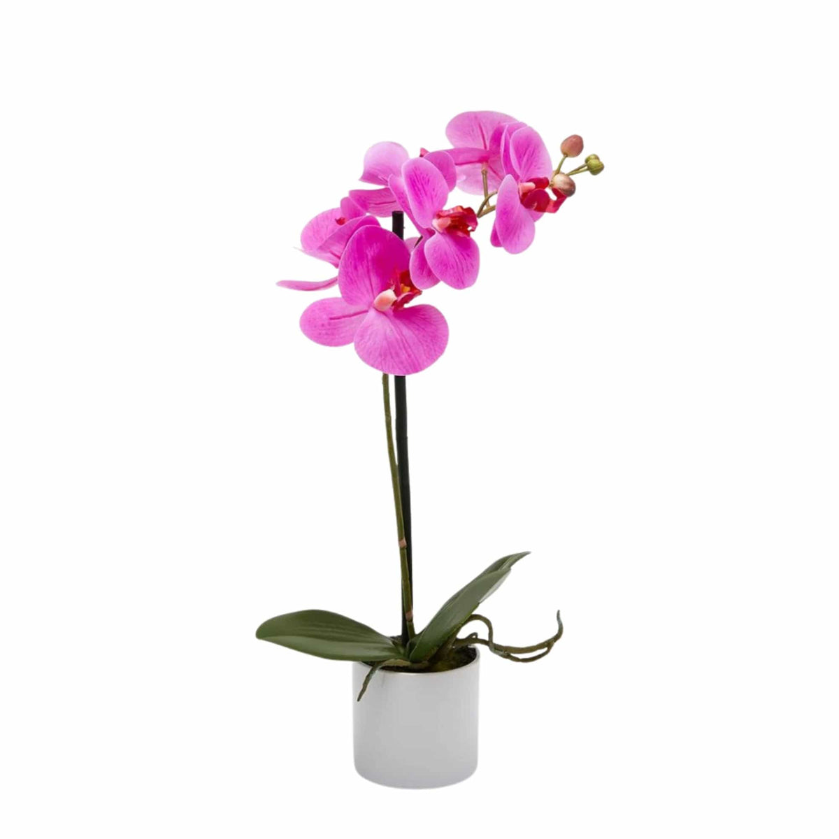 Fuchsia artificial Phalaenopsis orchid in a white ceramic pot, 40 cm, by Daily Flowers