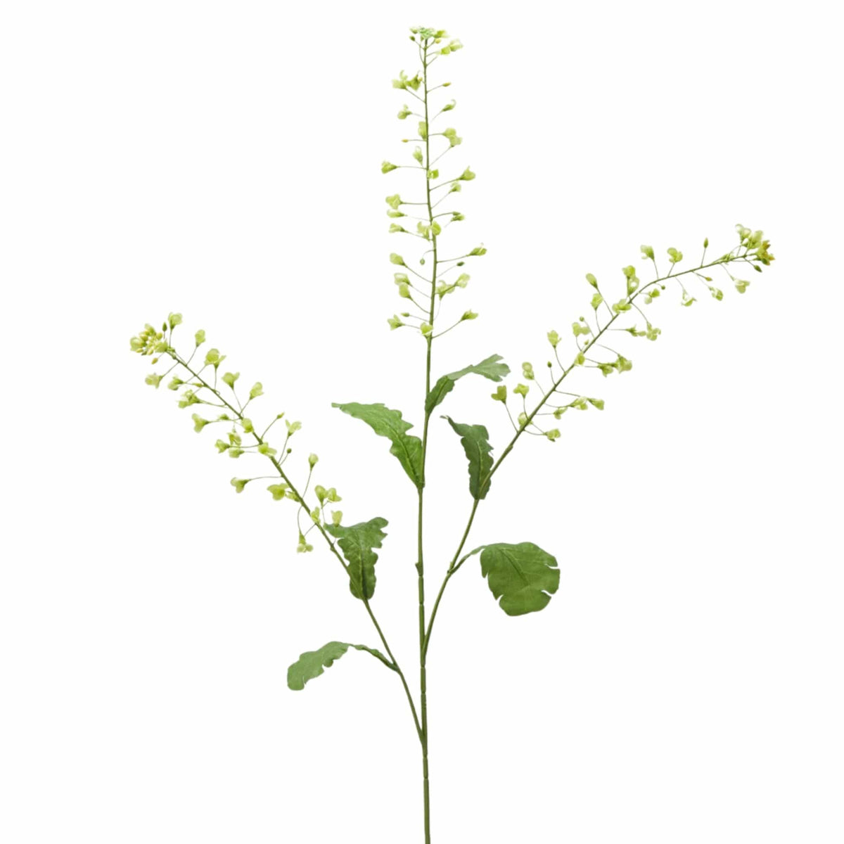 Artificial rapeseed branch with three stems of soft green buds and leaves, 115 cm, by Daily Flowers