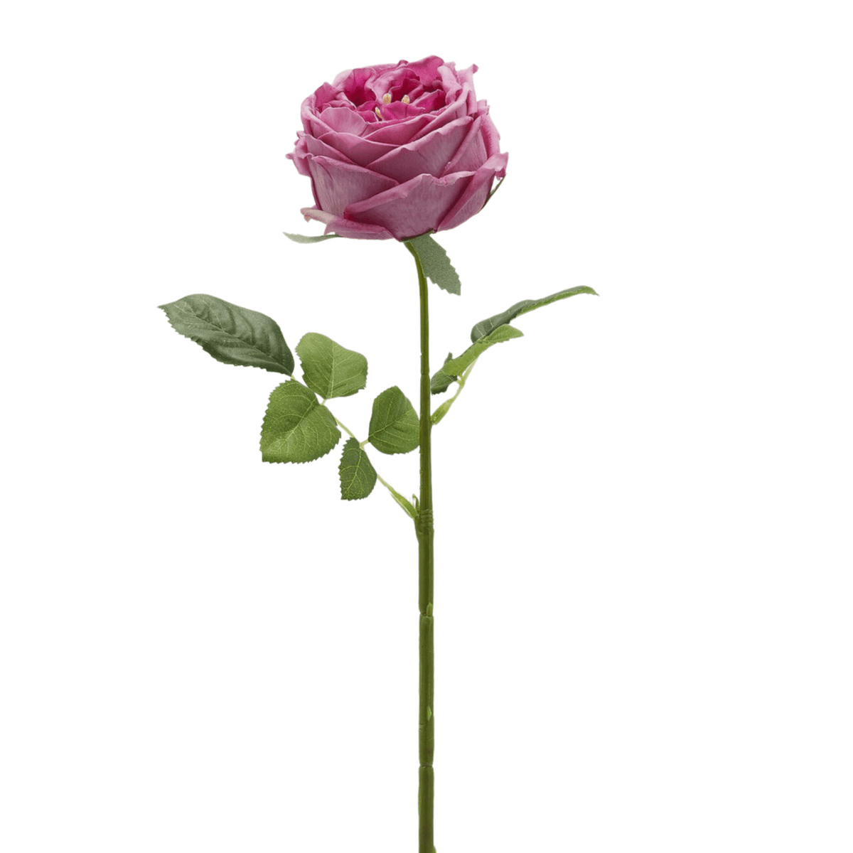 Artificial Roses, artificial flower by Daily Flowers