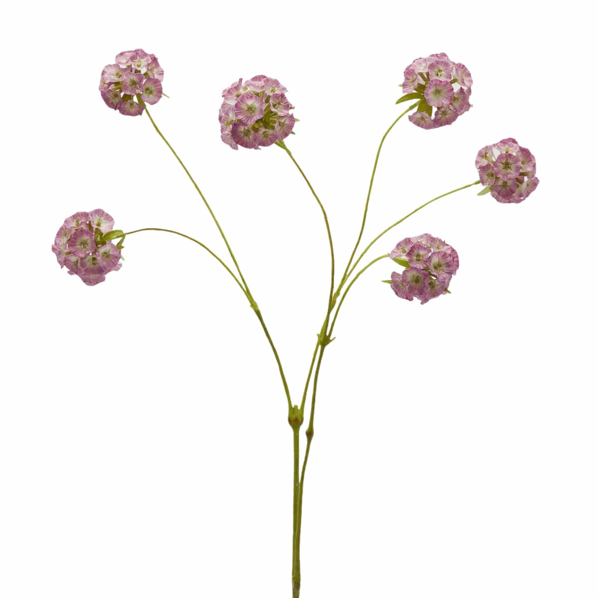 Artificial scabiosa branch with six mauve pink round flower heads, 66 cm, by Daily Flowers