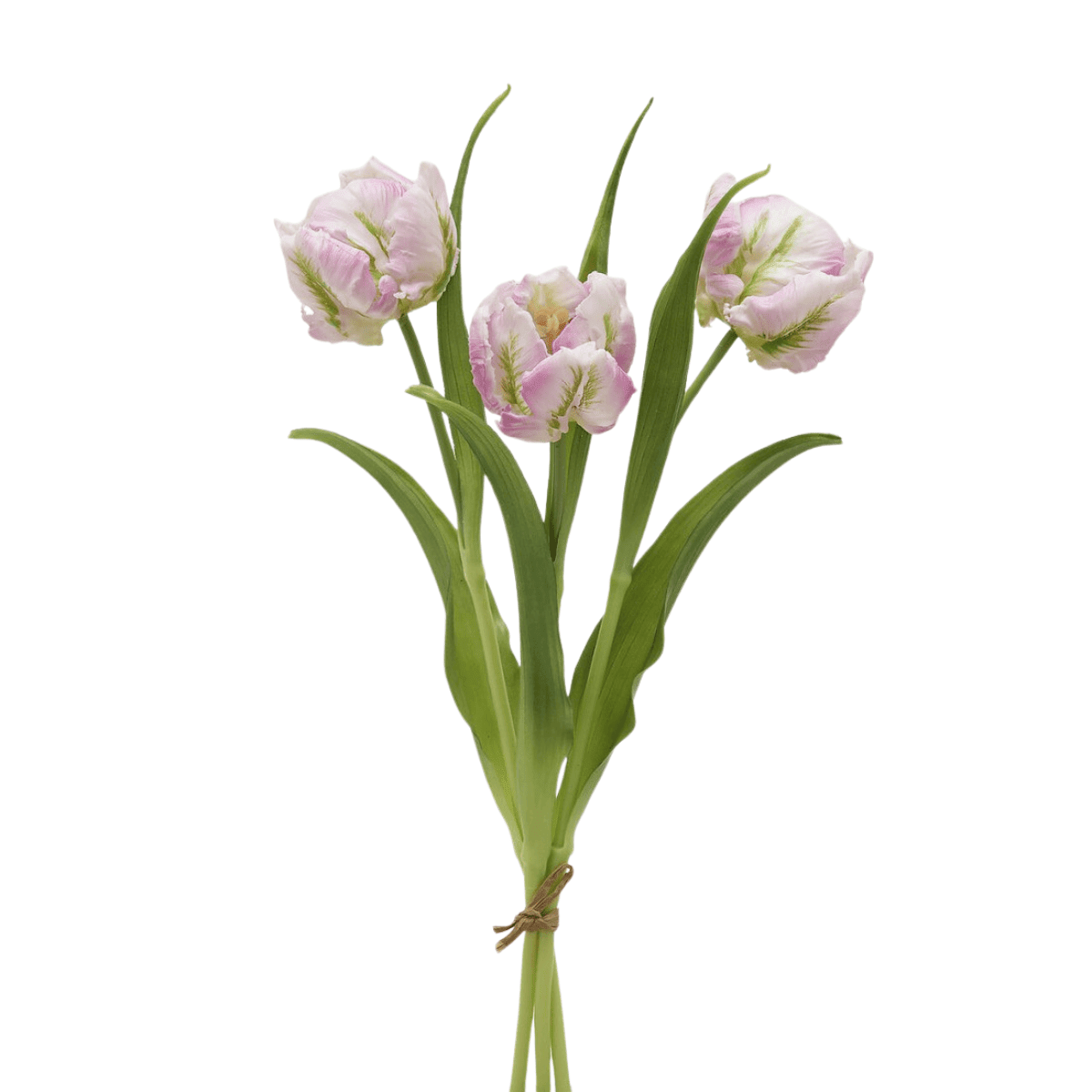 Parrot artificial tulip stem