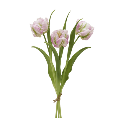 Parrot artificial tulip stem