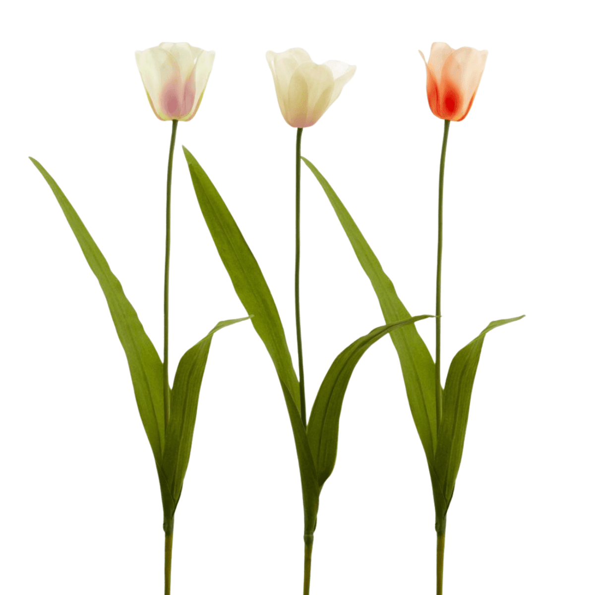 Artificial tulips stem product shot