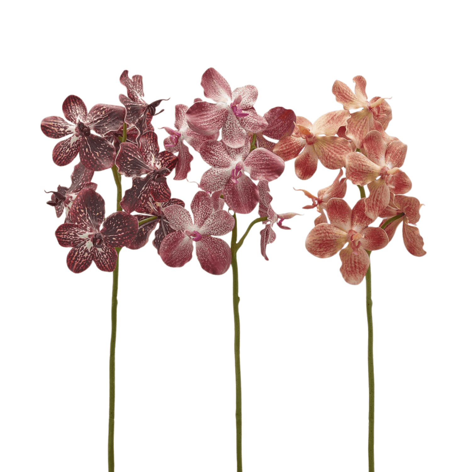 Artificial Vanda Branch, artificial flower by Daily Flowers