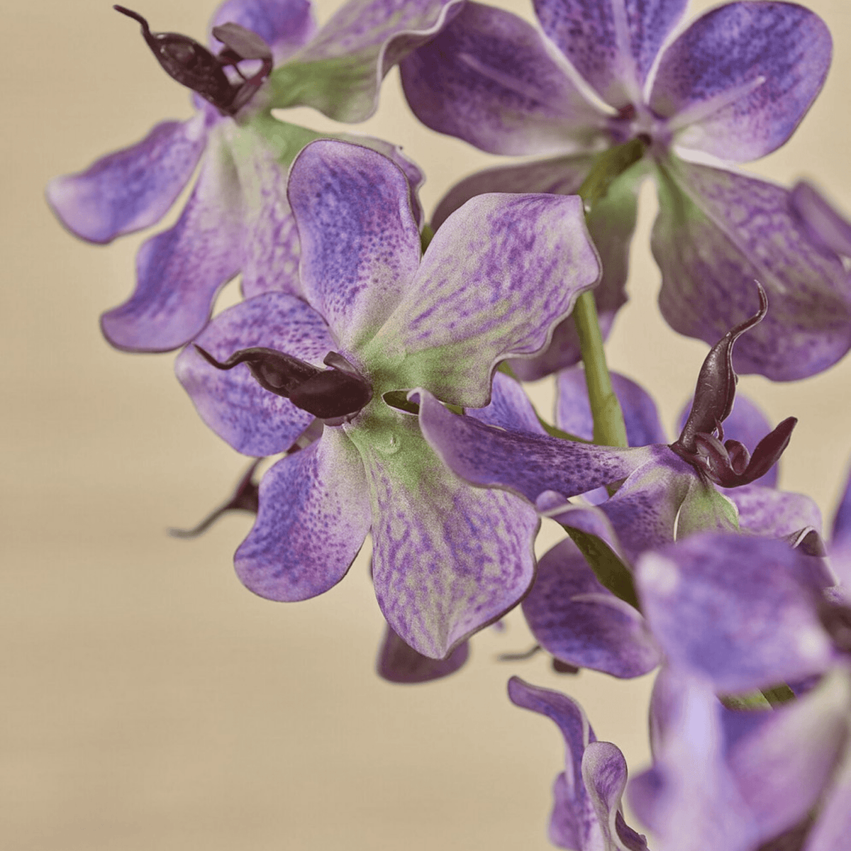 Artificial Vanda Branch, artificial flower by Daily Flowers