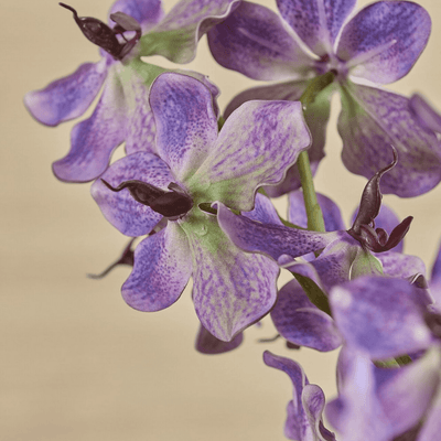 Artificial Vanda Branch, artificial flower by Daily Flowers