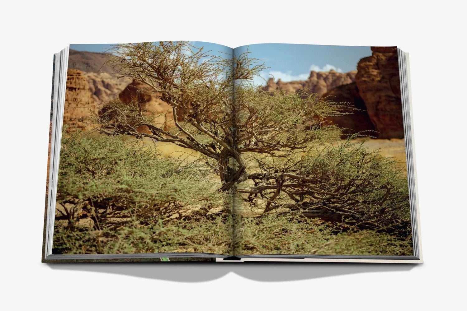 Assouline Alula Flora pages lifestyle