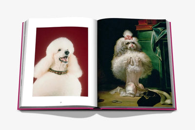 Assouline Chic Dogs book spread