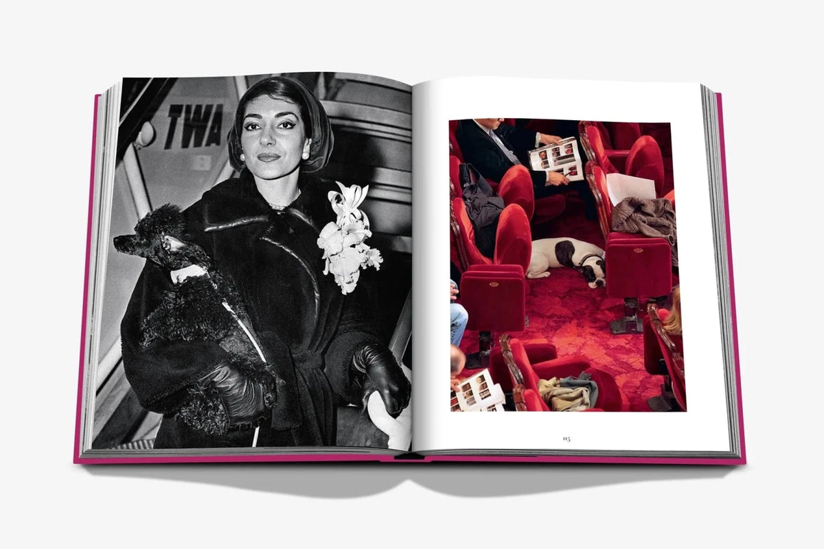 Assouline Chic Dogs pages detail