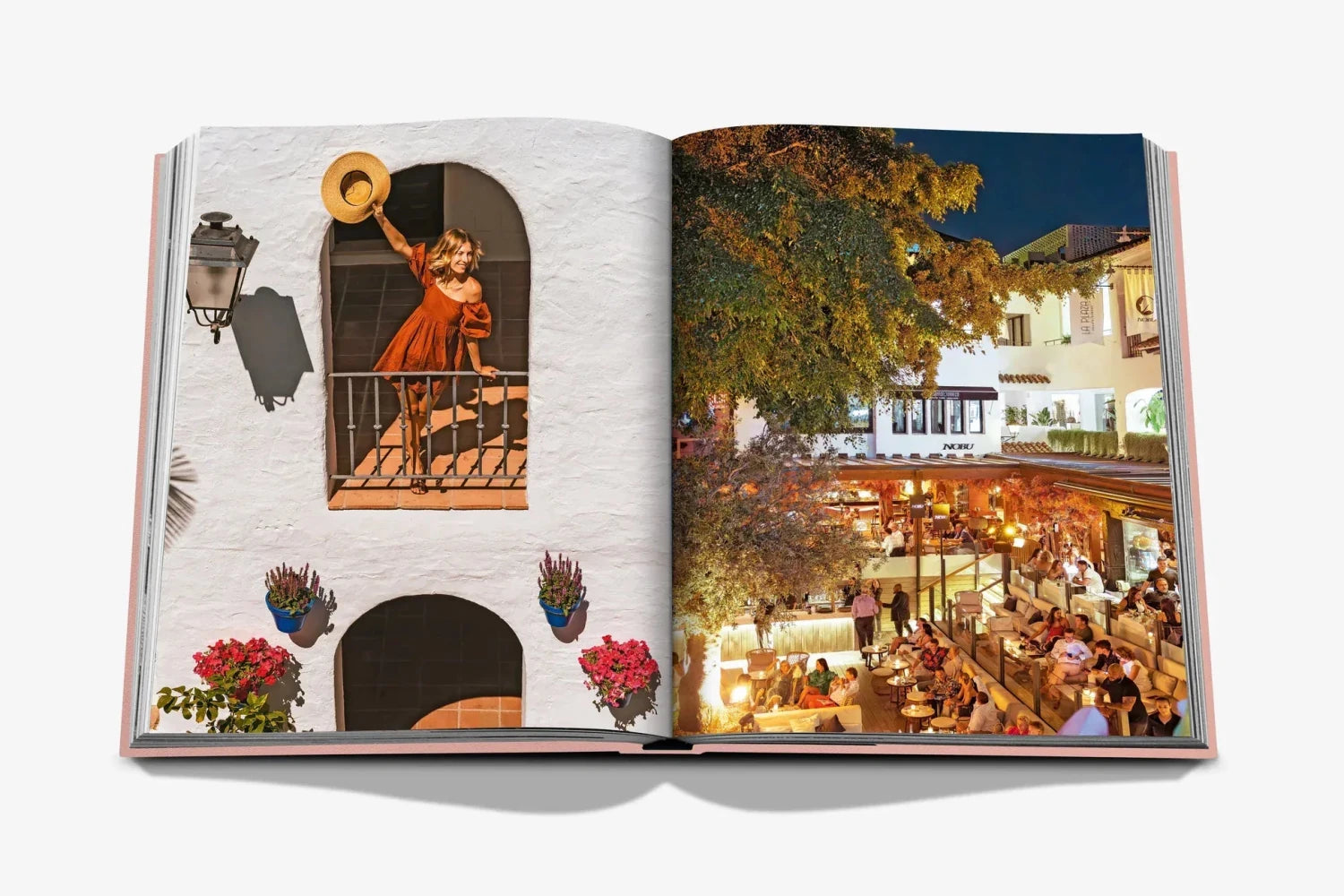 Assouline coffee table book, Marbella Sol, coffee table book at Daily Flowers