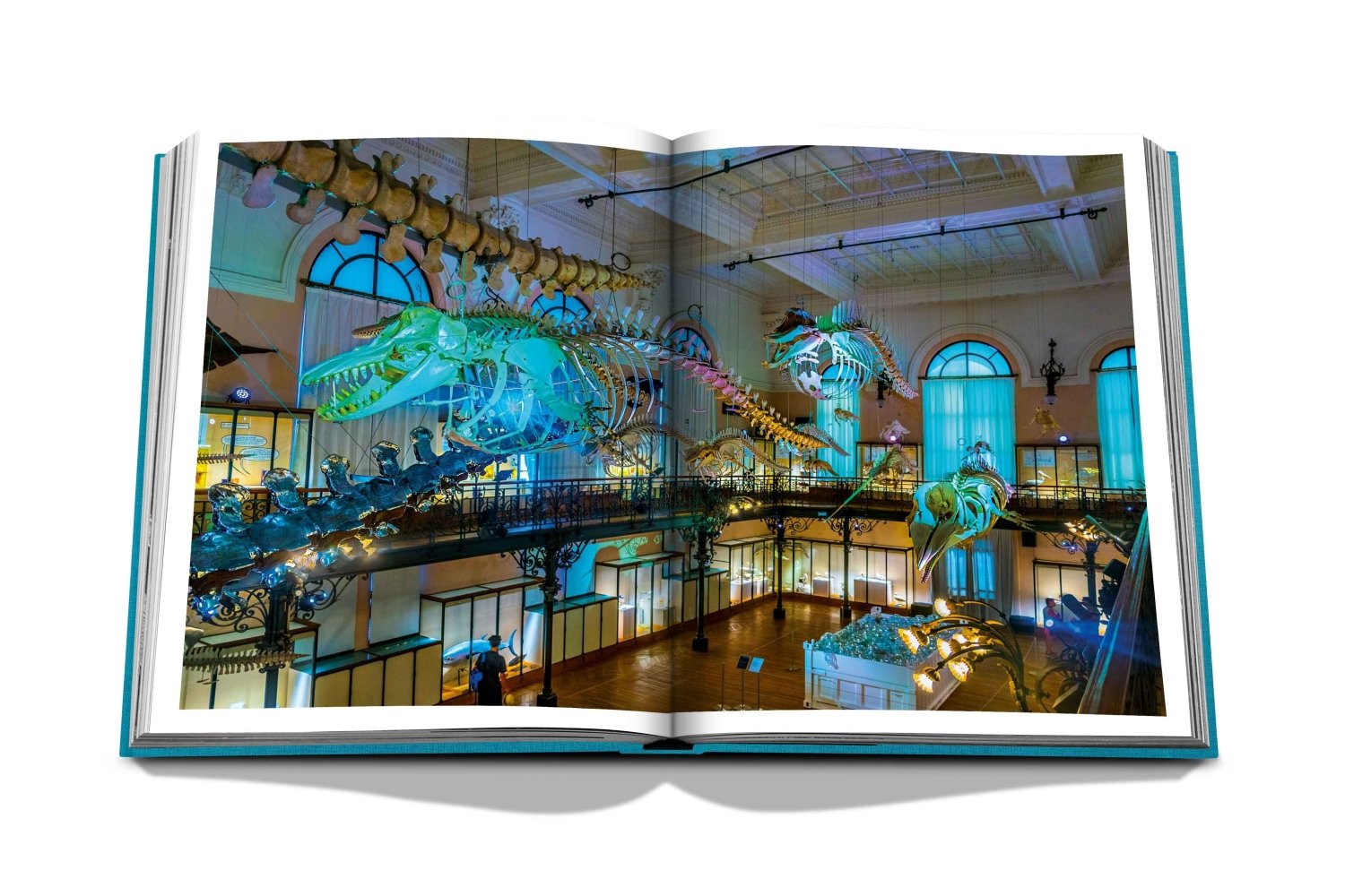 Assouline Monte Carlo interior pages spread