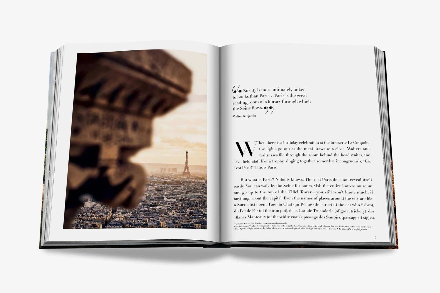 Assouline Paris Chic book spread