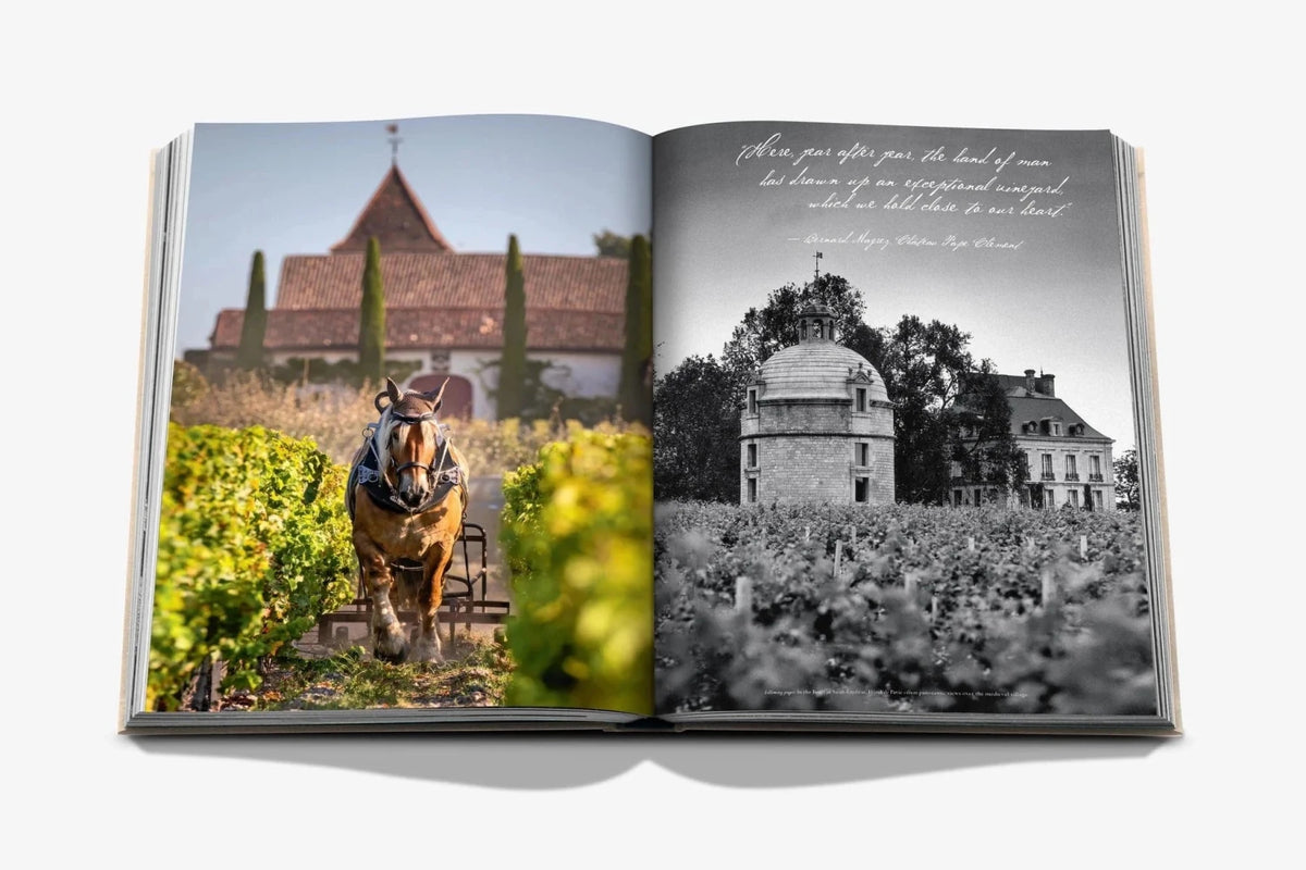 Assouline Wine and Travel France pages lifestyle