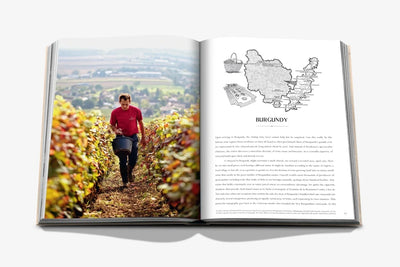 Assouline Wine and Travel France pages detail