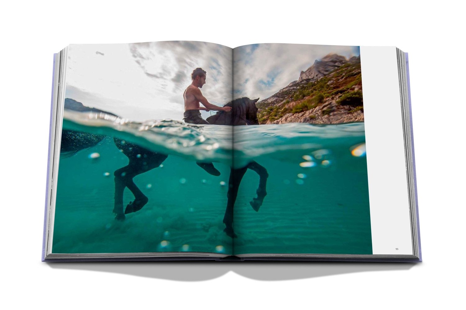 Assouline table book, Provence Glory, Home decoration, coffee table book at Daily Flowers