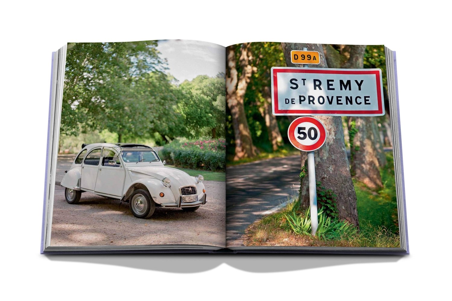 Assouline table book, Provence Glory, Home decoration, coffee table book at Daily Flowers