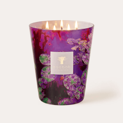 Baobab Scented Candle, Arty Flowers Water Lily at Daily Flowers