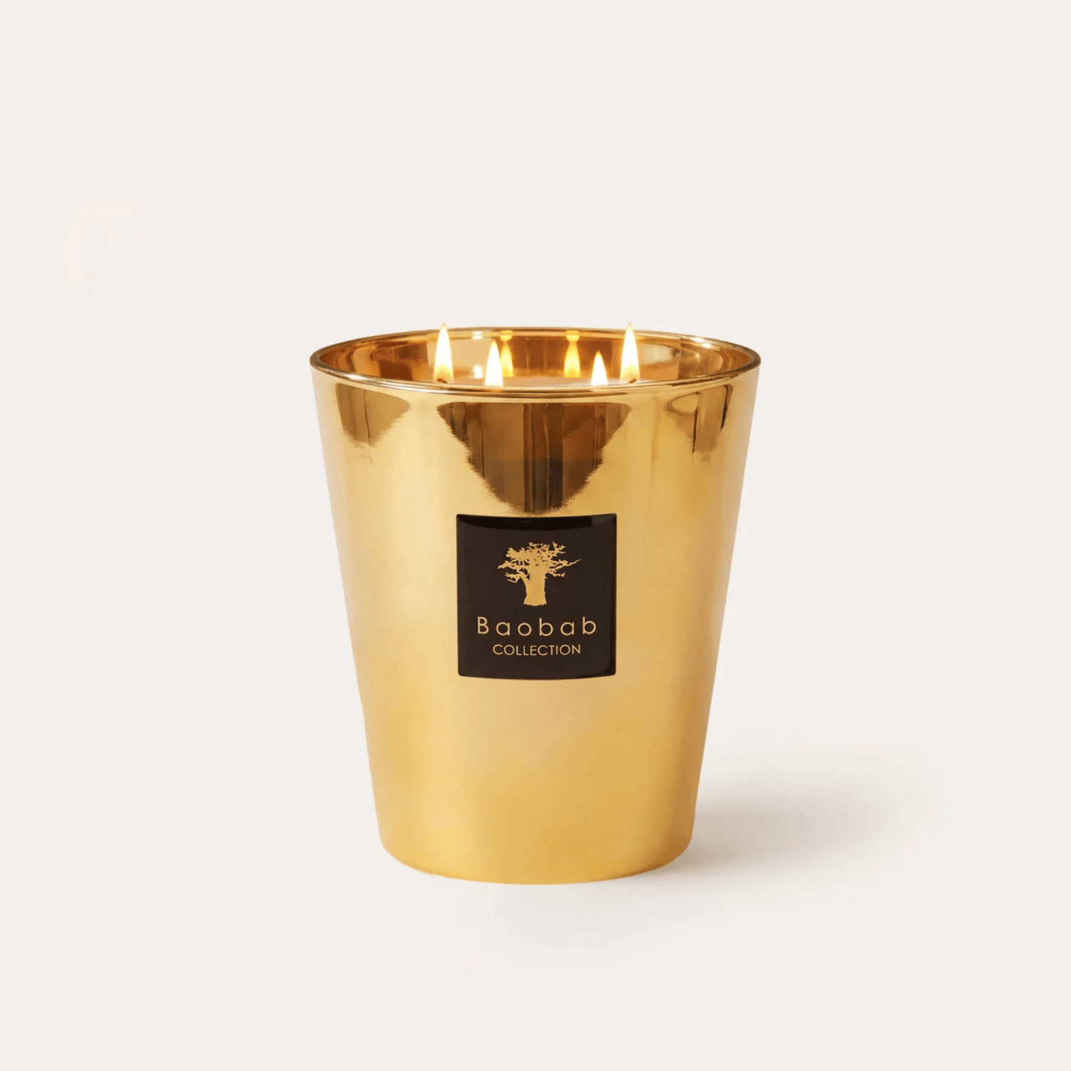 Baobab Scented Candle, Les Exclusives Aurum at Daily Flowers