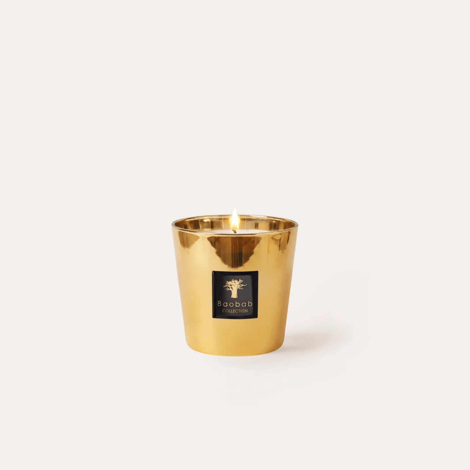 Baobab Scented Candle, Les Exclusives Aurum at Daily Flowers