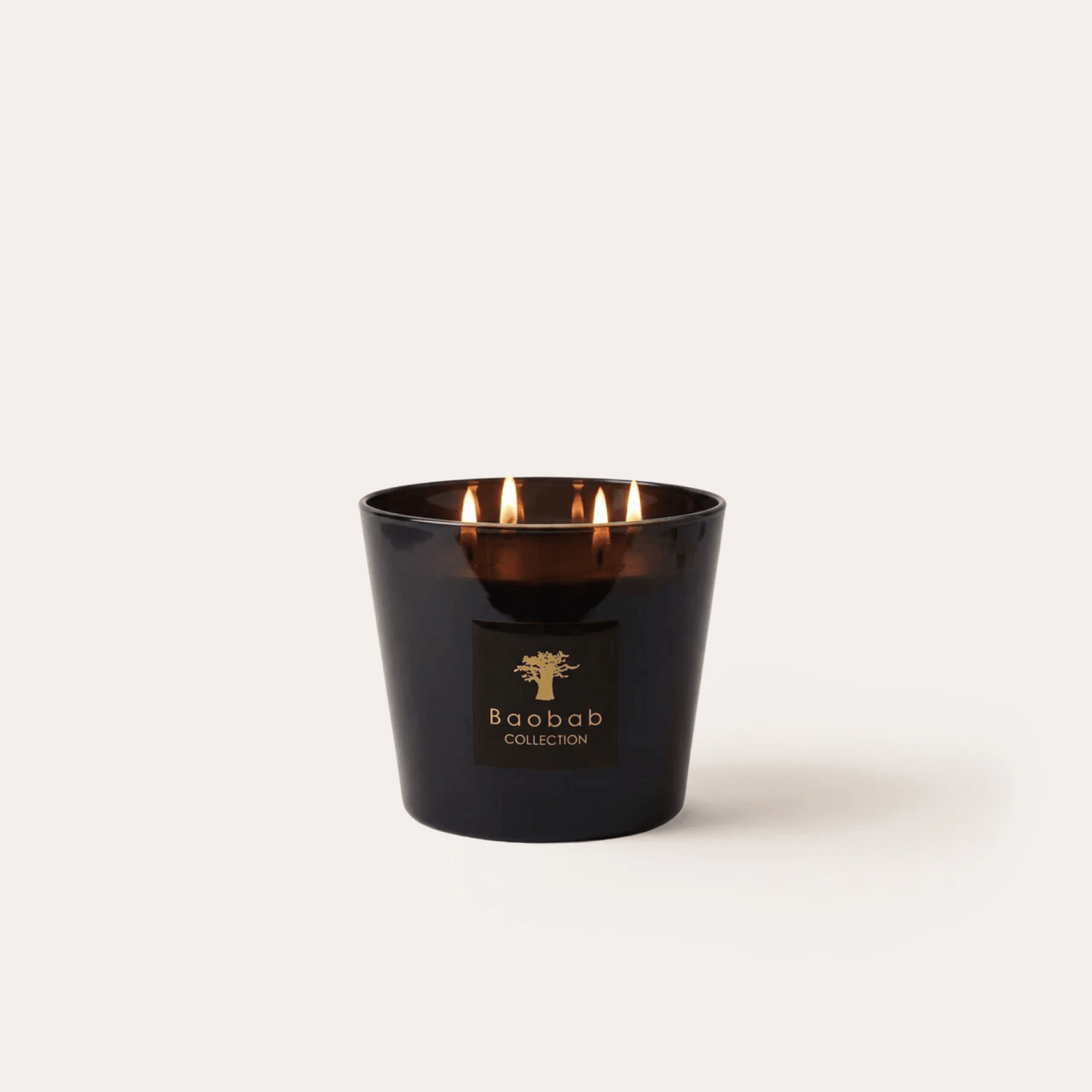 Baobab Scented Candle, Les Prestigieuses Encre de Chine at Daily Flowers