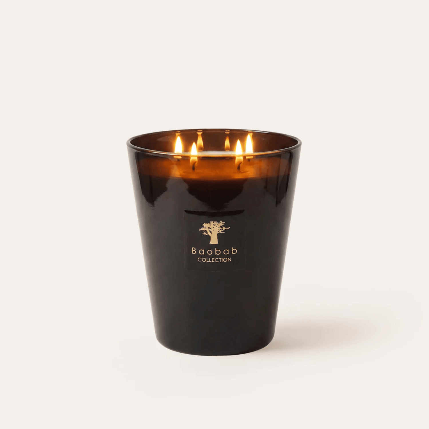 Baobab Scented Candle, Les Prestigieuses Encre de Chine at Daily Flowers