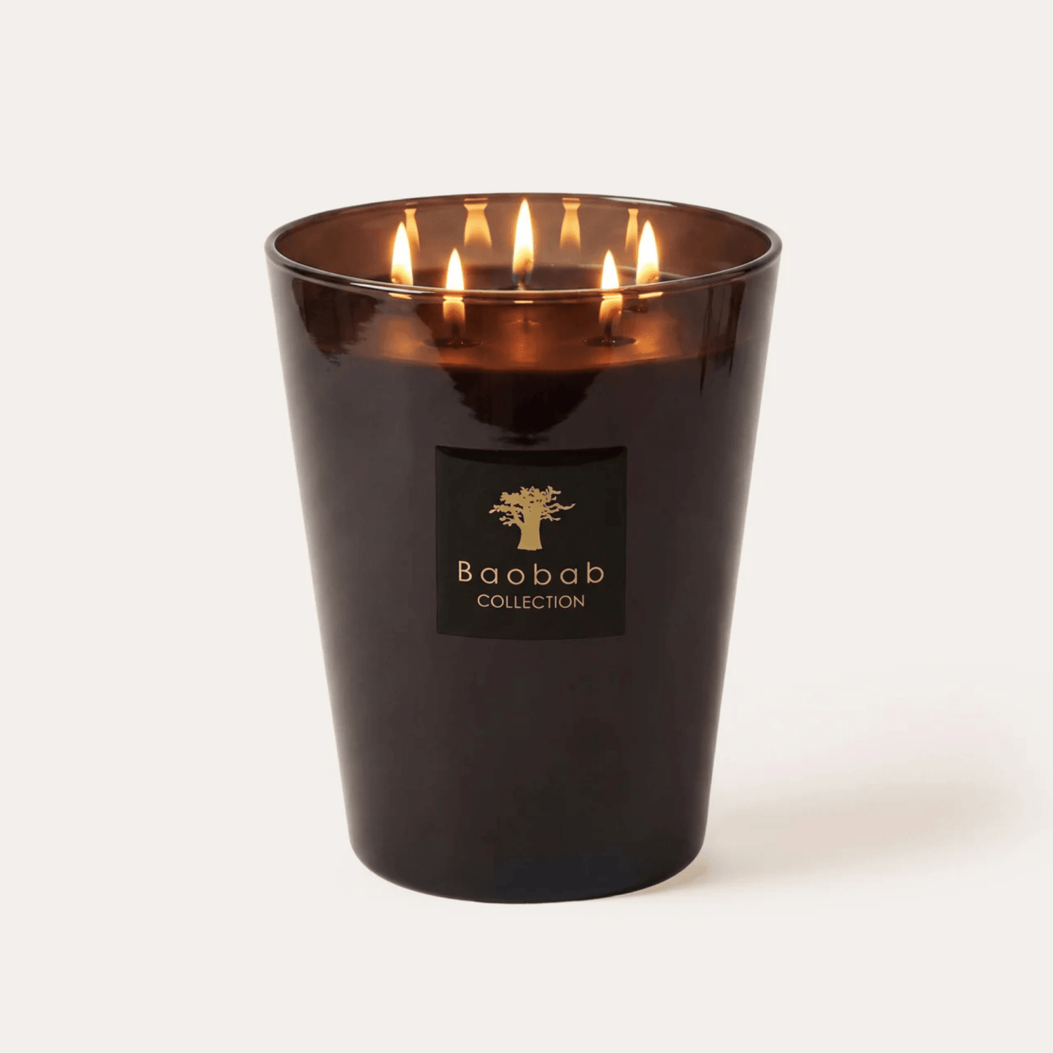 Baobab Scented Candle, Les Prestigieuses Encre de Chine at Daily Flowers