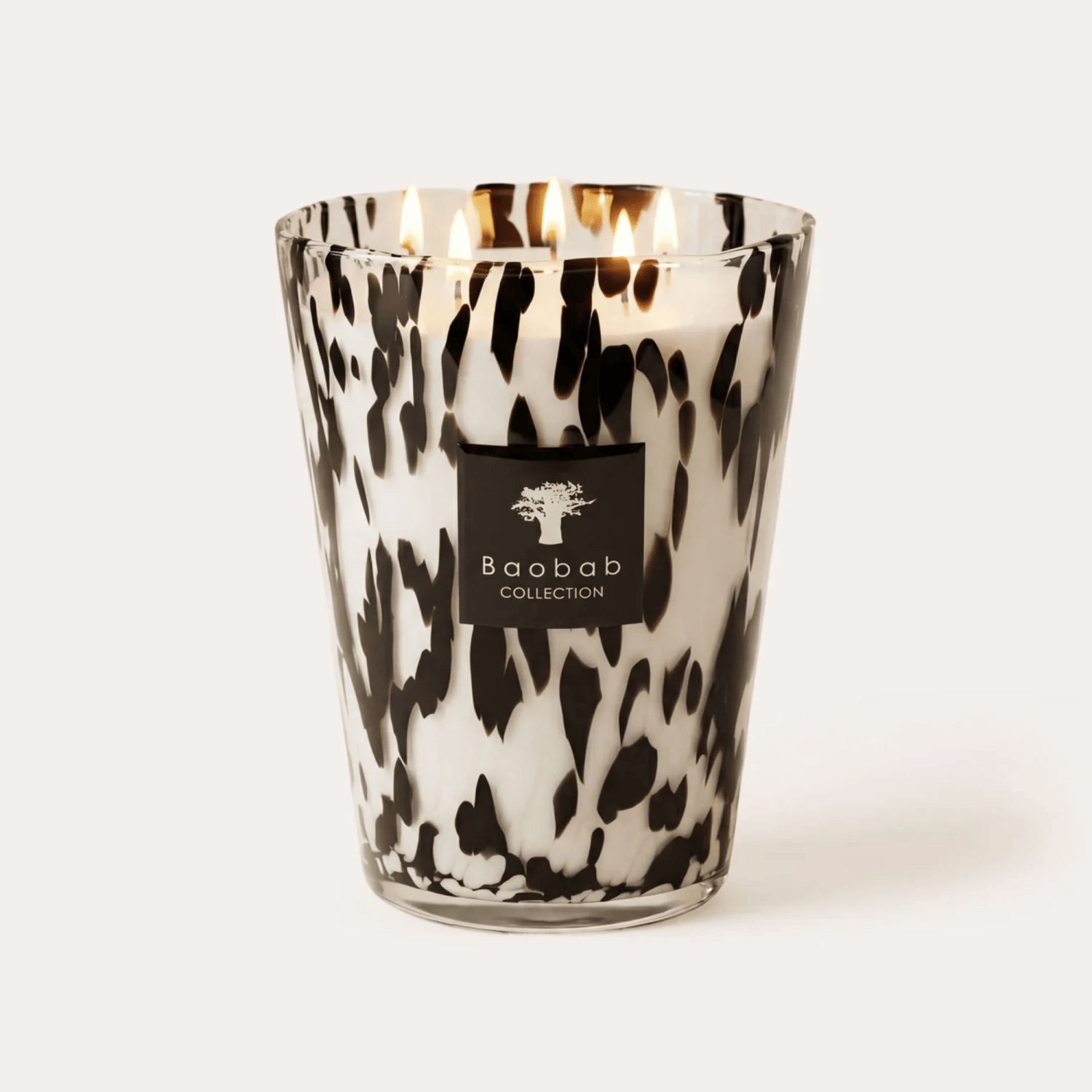 Baobab Scented Candle, Pearls Black at Daily Flowers