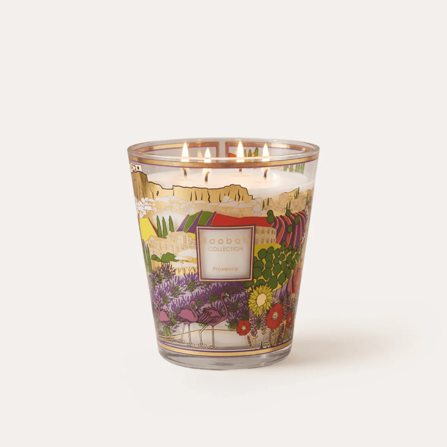 Baobab Scented Candle, Provence at Daily Flowers