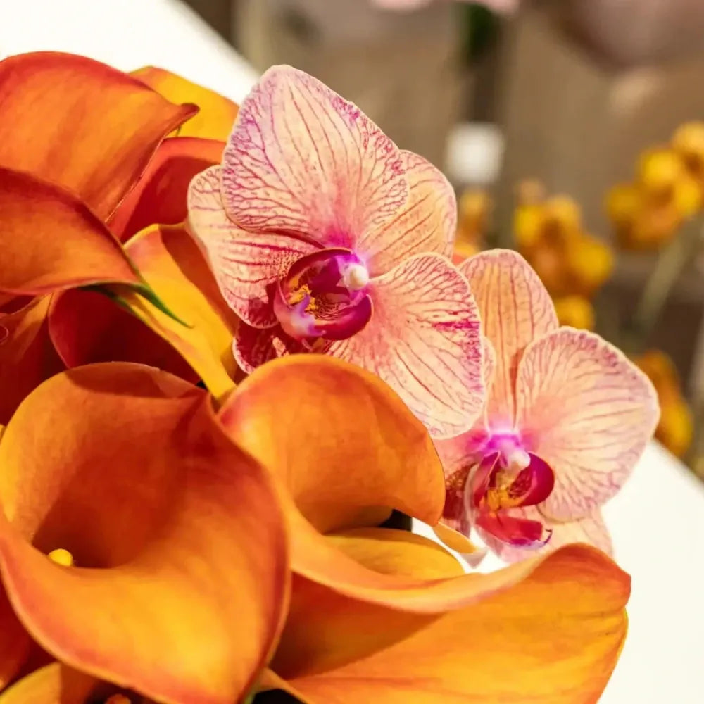 Autumn calla hat box arrangement close-up Daily Flowers