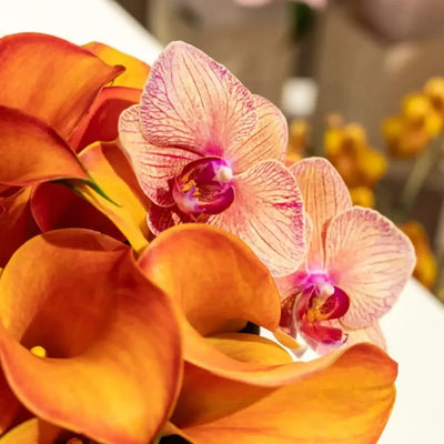 Autumn calla hat box arrangement close-up Daily Flowers
