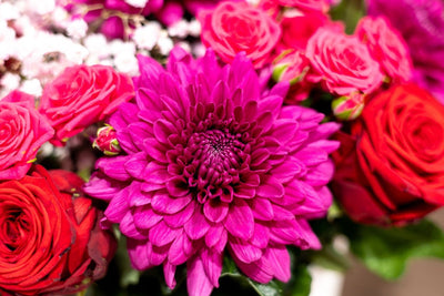 Chic Burgundy Beauty blossom box detail Daily Flowers